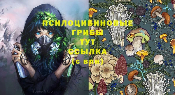 сатива Беломорск