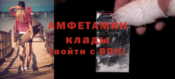 сатива Беломорск