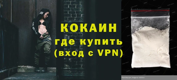 сатива Беломорск