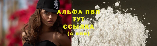 сатива Беломорск