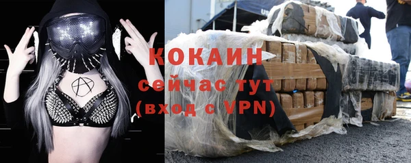 сатива Беломорск