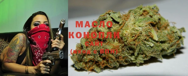 сатива Беломорск