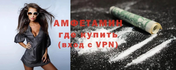 сатива Беломорск