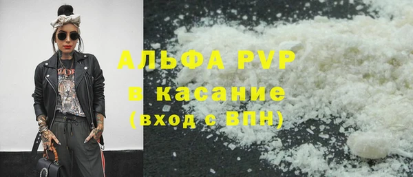 сатива Беломорск