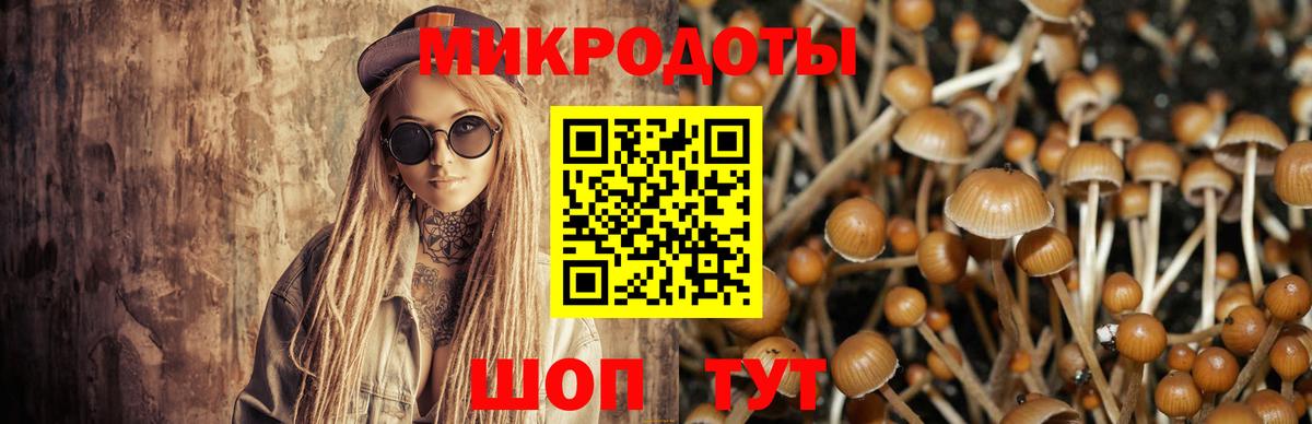 Галлюциногенные грибы Cubensis  Галлюциногенные грибы прущие грибы  Вход с VPN  где купить наркоту  Брянск 