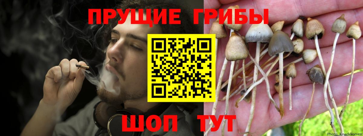 Галлюциногенные грибы GOLDEN TEACHER Брянск
