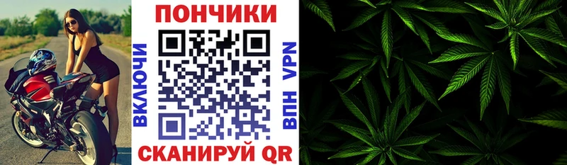 дарнет шоп  Брянск  Бошки Шишки план 